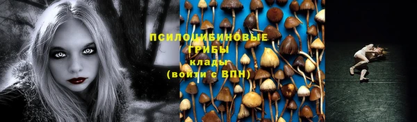 PSILOCYBIN Аркадак